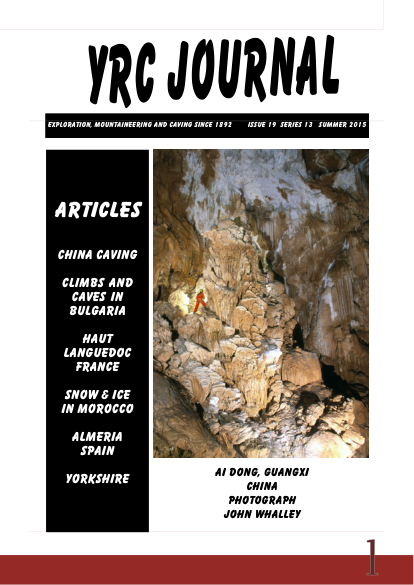 YRCJ 2015; 13(19) cover